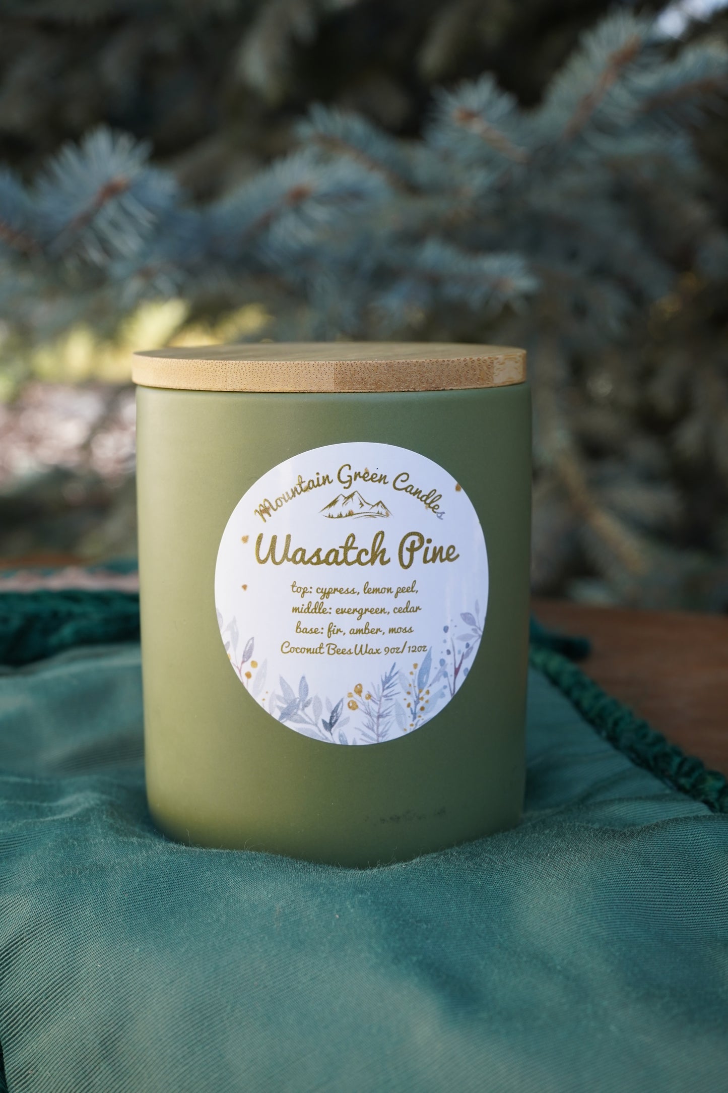 Wasatch Pine